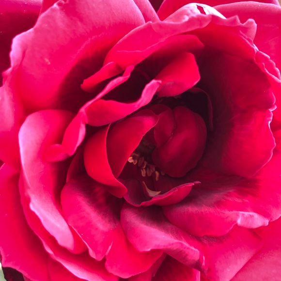 Meet your Posher, Linda - Picture 7 of 8